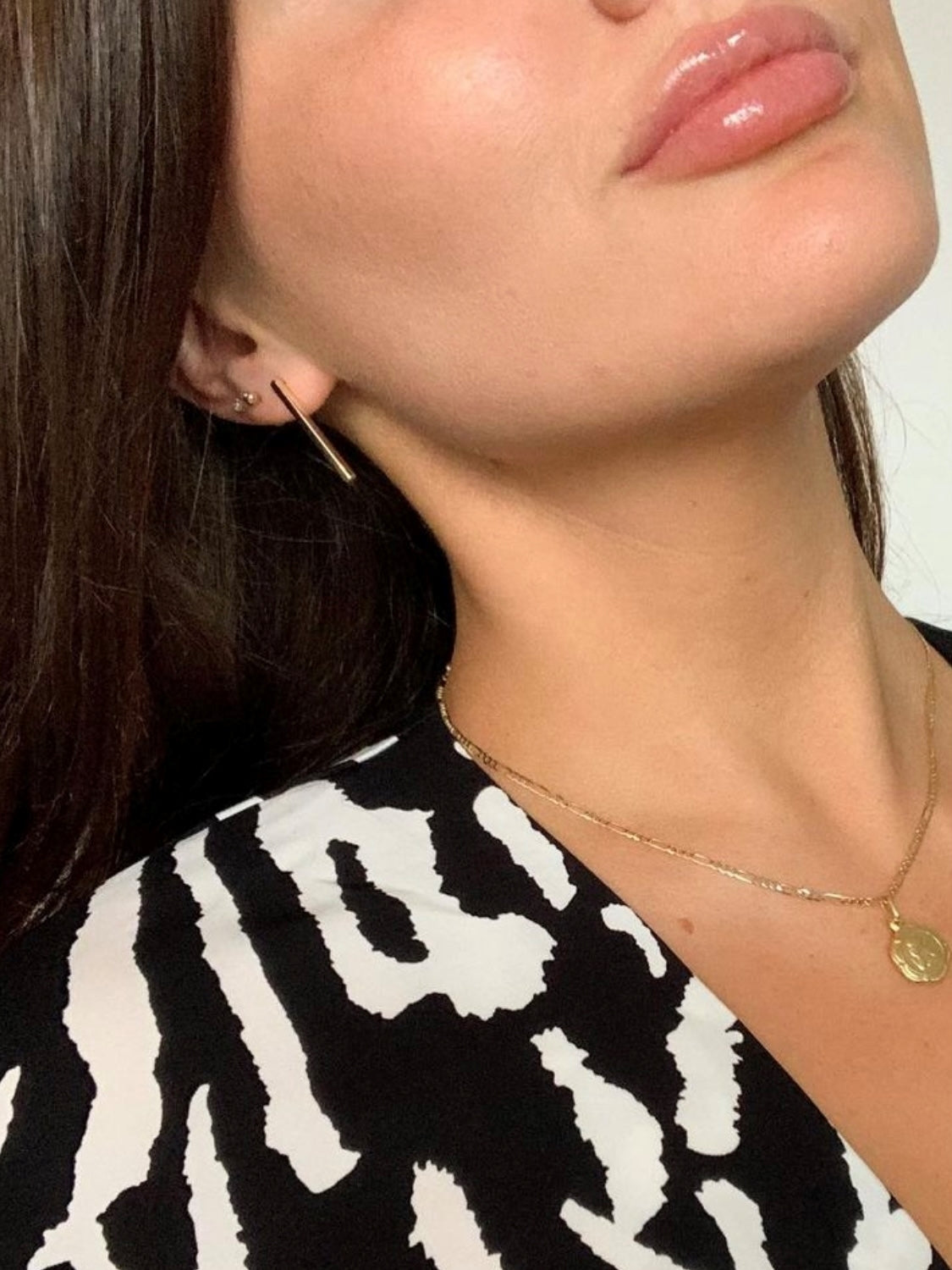 Veto Earrings